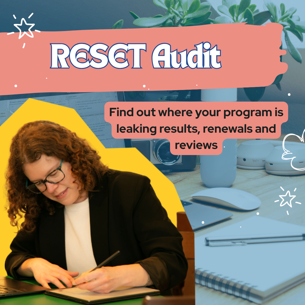 RESET Program Audit